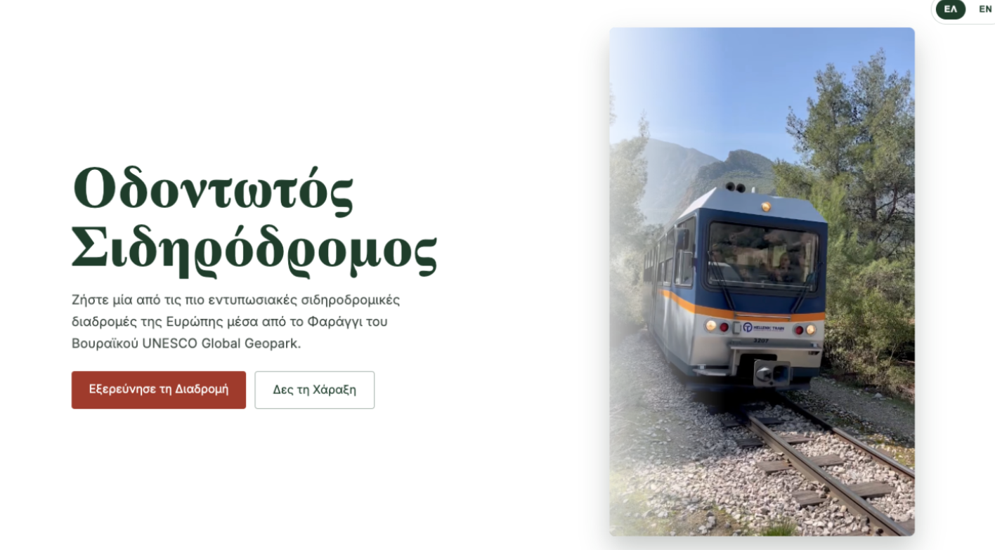 Portfolio projects preview